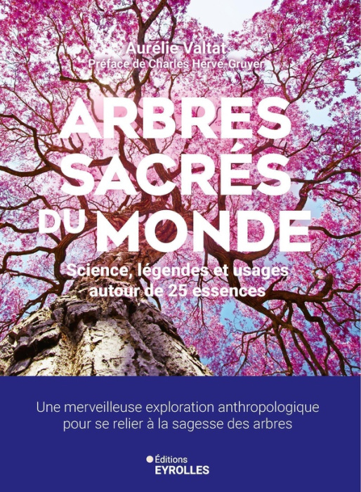 Emprunter Arbres sacrés du monde. Science, légendes et usages autour de 25 essences livre