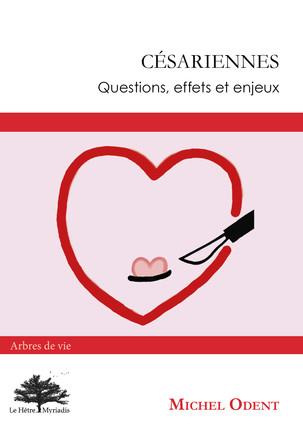 Emprunter Césariennes. Questions, effets et enjeux livre