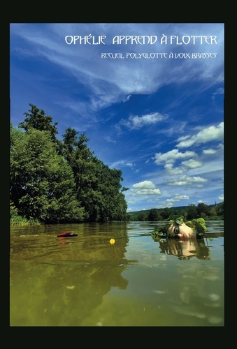 Emprunter Ophélie apprend à flotter livre