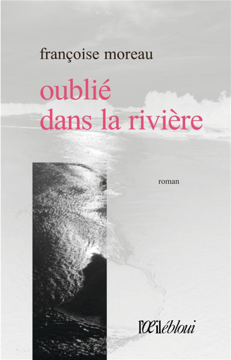 Emprunter Oublié dans la rivière livre