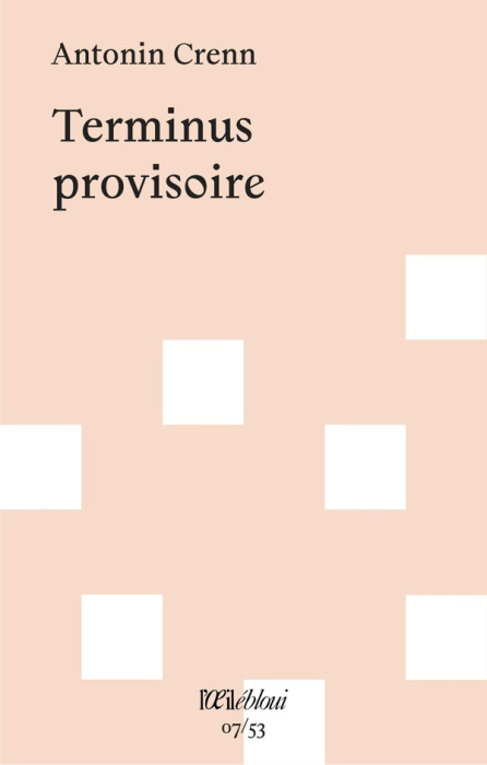 Emprunter Terminus provisoire livre