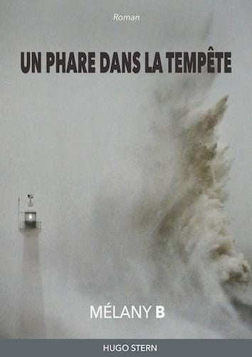 Emprunter Un phare dans la tempête livre