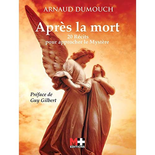 Emprunter Après la mort. 20 récits pour approcher le mystère livre