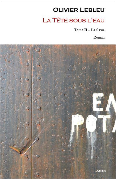 Emprunter La tête sous l'eau Tome 2 : La crue livre