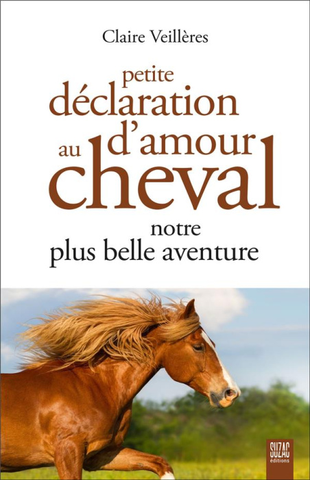 Emprunter Petite déclaration d'amour au cheval. Notre plus belle aventure livre