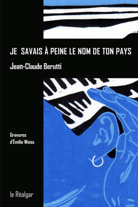 Emprunter Je savais à peine le nom de ton pays livre