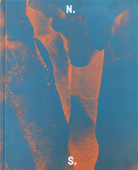 Emprunter Northern Silence. Edition bilingue français-anglais livre