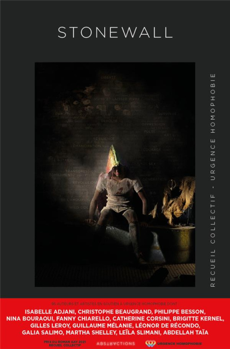 Emprunter Stonewall livre