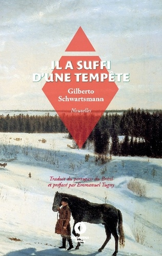 Emprunter Il a suffi d'une tempête. - livre