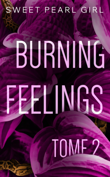 Emprunter Burning feelings Tome 2 livre