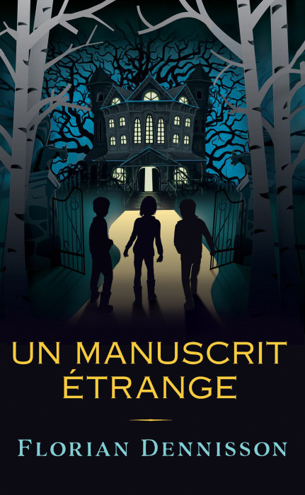 Emprunter Histoires étranges Tome 3 : Un manuscrit étrange livre