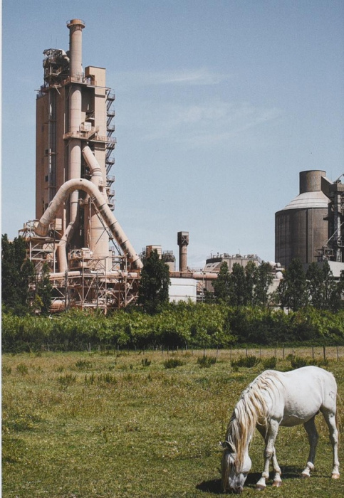 Emprunter Beau caillou livre