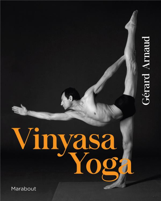 Emprunter Vinyasa yoga livre
