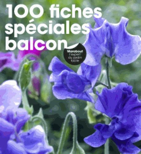 Emprunter 100 fiches spéciales balcon livre