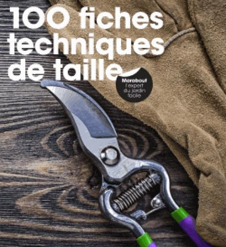 Emprunter 100 fiches techniques de taille livre