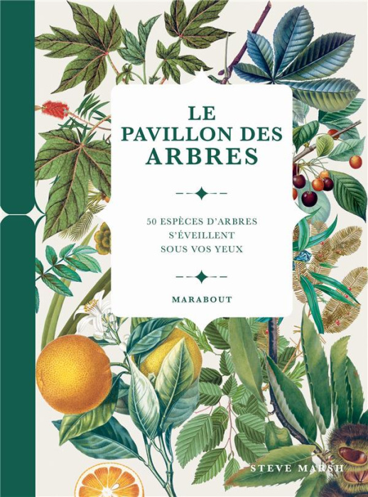 Emprunter Le pavillons des arbres. 50 espèces d'arbres s'éveillent sous vos yeux livre