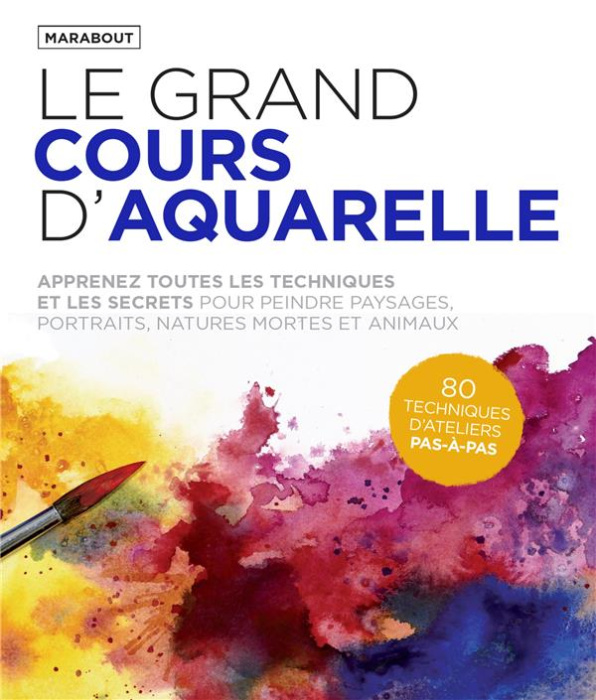 Emprunter Le grand cours d'aquarelle livre