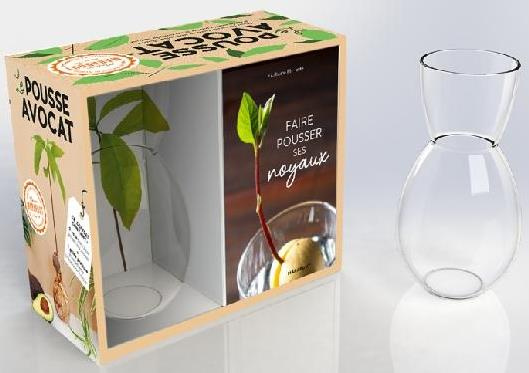 Emprunter Coffret Le pousse avocat. Faire pousser ses noyaux. Avec 1 vase livre