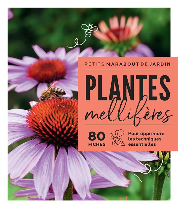 Emprunter Plantes mellifères livre