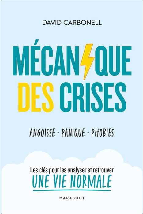 Emprunter Mécanique des crises. Angoisse, panique, phobies livre