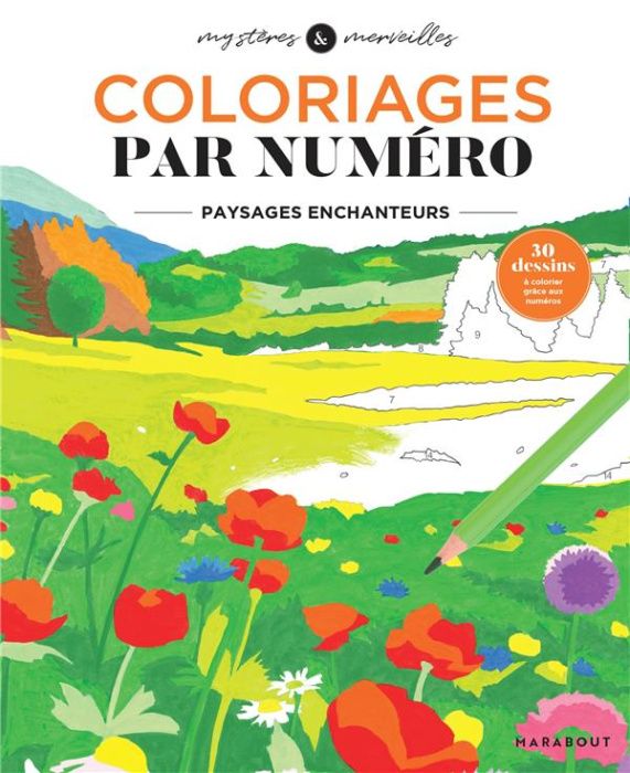 Emprunter Coloriages par numéro. Paysages enchanteurs livre