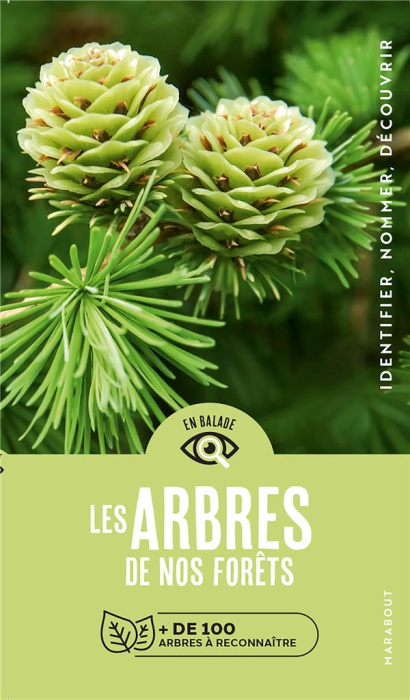 Emprunter Les arbres de nos forêts. de 100 espèces d'arbres à reconnaître livre