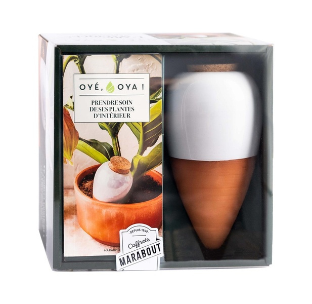 Emprunter OYE OYA livre