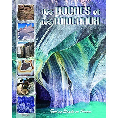 Emprunter Les roches et les minéraux livre
