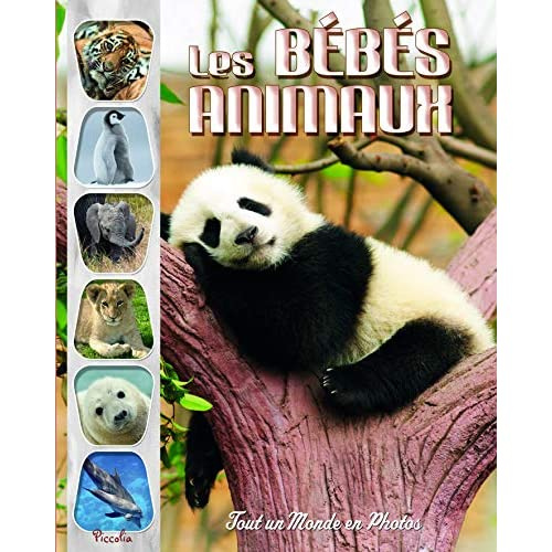 Emprunter Les bébés animaux livre