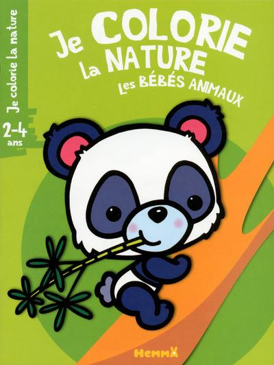 Emprunter Les bébés animaux livre