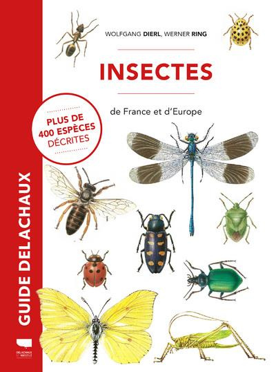 Emprunter Insectes de France et d'Europe livre