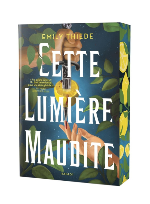 Emprunter La dernière Finestra Tome 2 : Cette lumière maudite livre