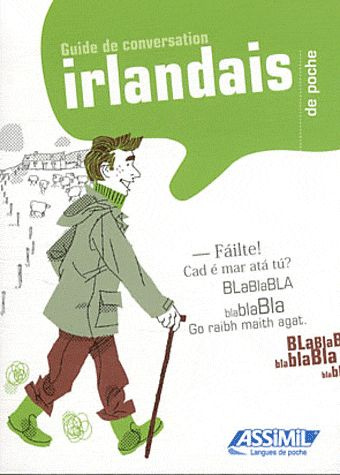 Emprunter L'Irlandais de poche livre