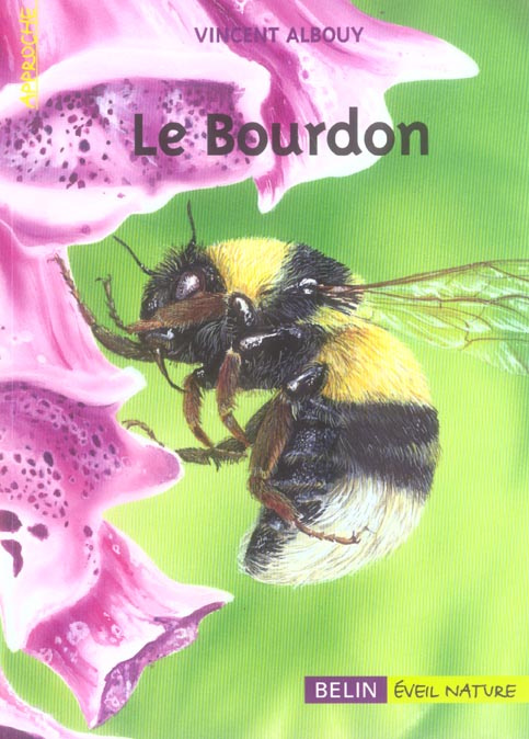 Emprunter Les bourdons livre