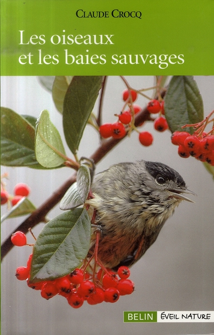 Emprunter Les oiseaux et les baies sauvages livre