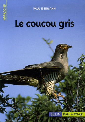 Emprunter Le coucou gris livre