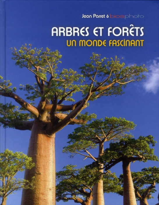 Emprunter Arbres et forêts. Un monde fascinant livre