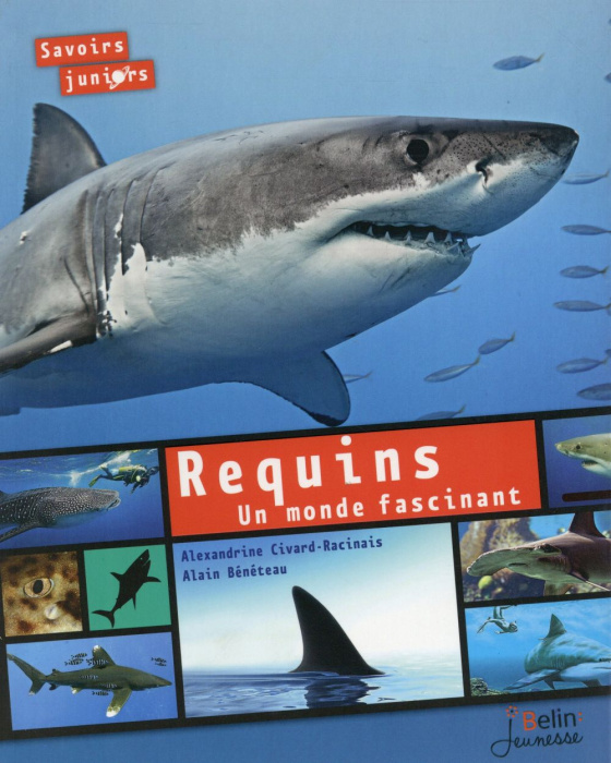 Emprunter Requins. Un monde fascinant livre