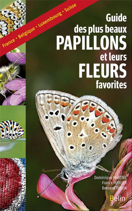 Emprunter Guide des plus beaux papillons et leurs fleurs favorites livre