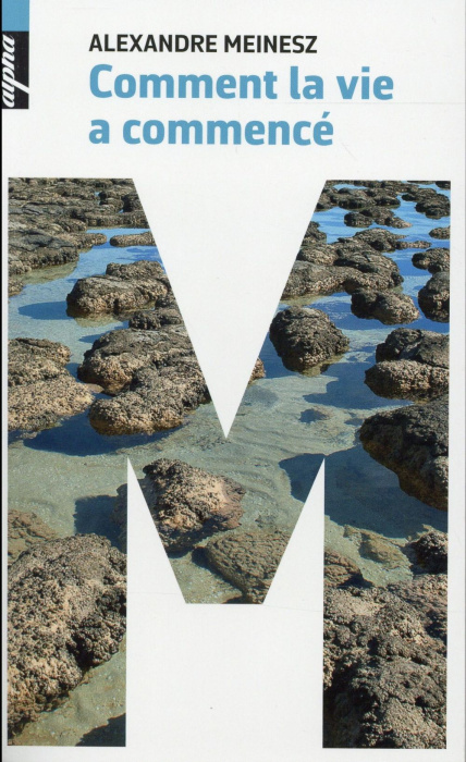 Emprunter Comment la vie a commencé livre
