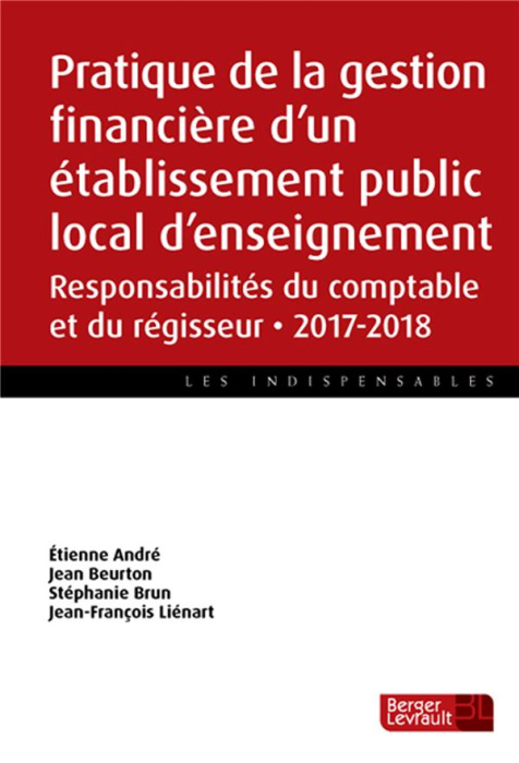 Emprunter Pratique de la gestion financière d'un établissement public local d'enseignement. Responsabilités du livre