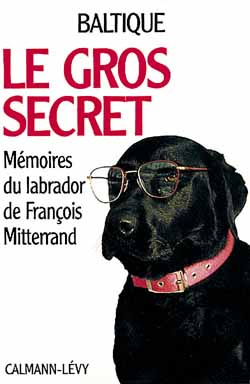 Emprunter Le gros secret livre
