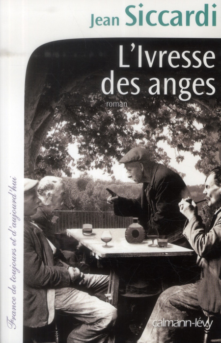 Emprunter L'ivresse des anges livre