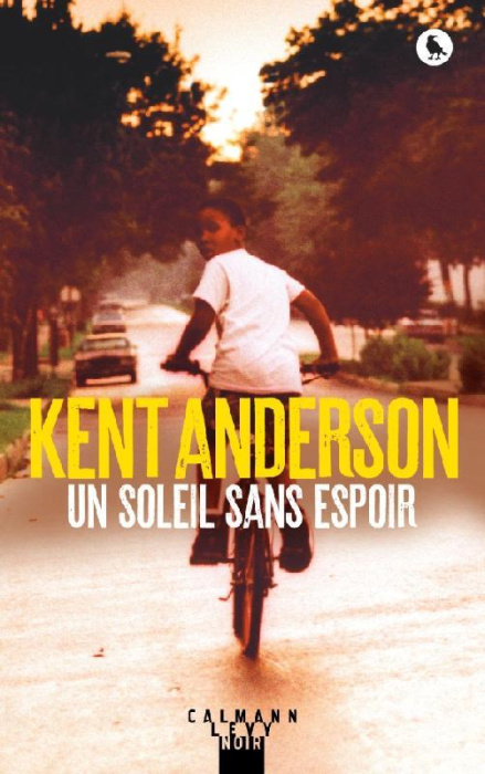 Emprunter Un soleil sans espoir livre