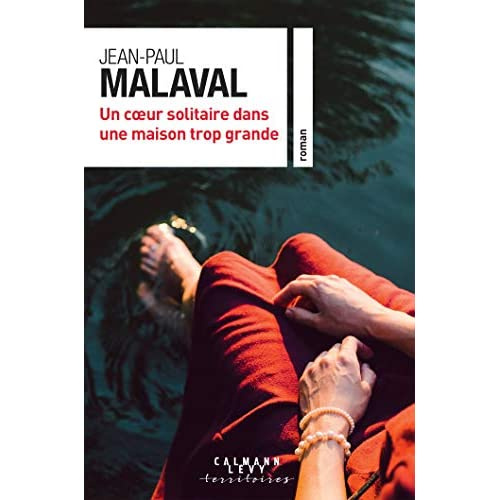 Emprunter Un coeur solitaire dans une maison trop grande livre