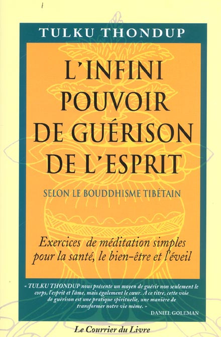 Emprunter L'infini pouvoir de guérison de l'esprit selon le Bouddhisme tibétain. Exercices de méditation simpl livre