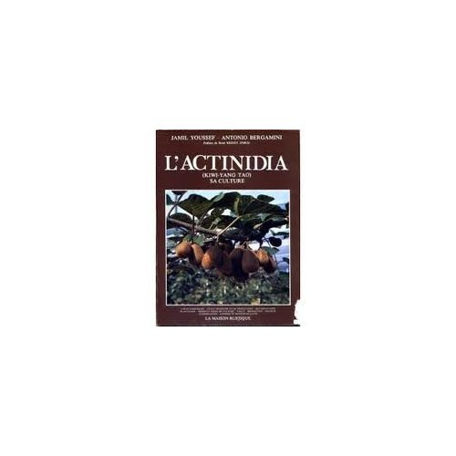Emprunter L'ACTINIDIA (KIWI-YANG TAO), SA CULTURE - TRADUIT DE L'ITALIEN livre