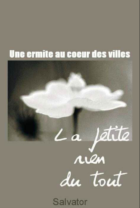Emprunter Une ermite au coeur de la ville. Une expérience de mort imminente qui bouleverse la vie livre