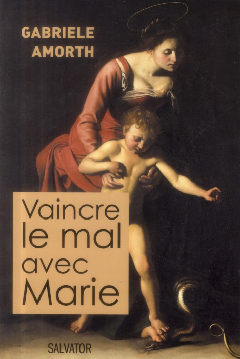 Emprunter Vaincre le mal avec Marie livre