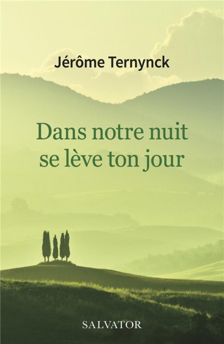 Emprunter DANS NOTRE NUIT SE LEVE TON JOUR - AU-DELA DES TEMPS DIFFICILES livre